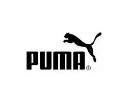 equivalence pointure puma